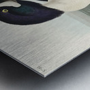 Henslows Bunting Metal print