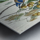 Florida Jay Metal print