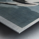 Tropic Bird Metal print