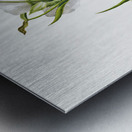 On the Road to Monument 1881 Metal print