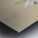 Water Lilies Castalia odorata 1879 Metal print