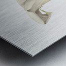 Calla Lily 1877 Metal print