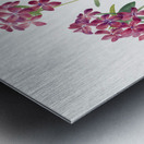 Hairy Phlox Phlox amoena 1930 Metal print