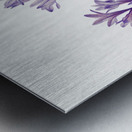 Butterfly Pea Clitoria mariana 1934 Metal print