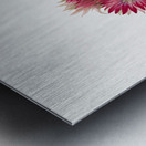 Hedgehog Cactus Coryphantha arizonica 1933 Metal print