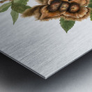 American Chestnut Castanea dentata 1932 Metal print