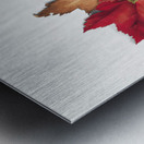 Autumn Leaves 1874 Metal print