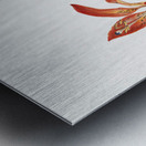 Lily Lilium montanum 1900–1920 Metal print