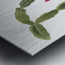 Flower Study 1878 Metal print