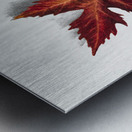 Autumn Leaf 1874 Metal print