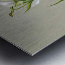 On the Road to Monument 1881 Metal print