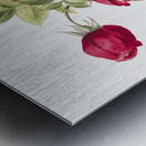 Rose 1878 Metal print