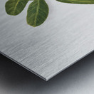 Autumn Leaves 1874 Metal print