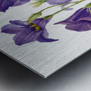 Eustoma russelianum 1930 Metal print