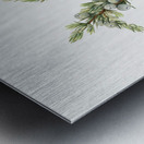 Mountain Juniper Juniperus sibirica 1917 Metal print