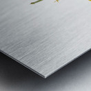 Mexican Poppy Eschscholtzia mexicana 1927 Metal print