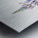 Lupine Lupinus fornosus 1935 Metal print