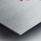 Walkingstick Cholla Opuntia imbricata 1934 Metal print