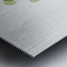 Puccoon Lithospermum ruderale 1923 Metal print