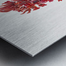 Snow Plant Sarcodes sanguinea 1930 Metal print