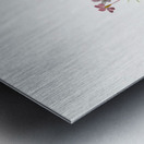 Gilia linanthus parviflorus 1900–1930 Metal print