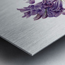 Rose Mallow Hibiscus moscheutos 1878 Metal print