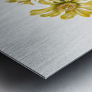 Cylindropuntia whipplei 1938 Metal print