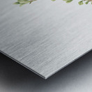 Bearberry Arctostaphylos uva-ursi 1916 Metal print