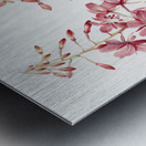 Fireweed Epilobium angustifolium 1902 Metal print