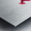 Winterberry Ilex verticillata 1920 Metal print