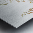 Flower Study 1883–1900 Metal print