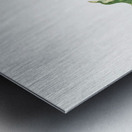 Wake–Robin Trillium grandiflorum 1918 Metal print