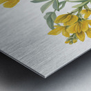 Goldenpea Thermopsis rhombifolia 1923 Metal print