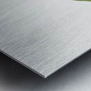 Toad Trillium Trillium sessile 1920 Metal print