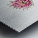 Cucumber cactus 1939 Metal print