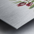 Wild Pea Lathyrus decaphyllus 1938 Metal print