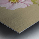 Flower Study 1876–1878 Metal print