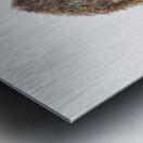 Green Strawberry Cactus Echinocereus viridiflorus 1925 Metal print