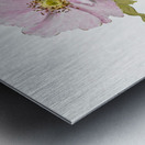 Flower Study 1876–1878 Metal print