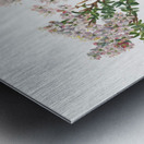 Sand Myrtle Leiophyllum lyoni 1930  Metal print