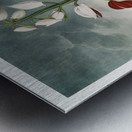 The Chinese Limodoron Metal print