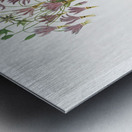 The American Cowslip Metal print