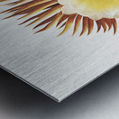 The Night–Blowing Cereus Metal print