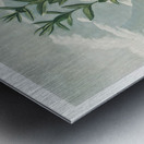 The Narrow–Leaved Kalmia Metal print