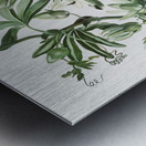 Cupid Inspiring Plants with Love Metal print