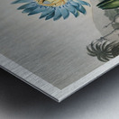 The Blue Egyptian Water-Lily Metal print