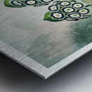 A Group of Auriculas Metal print