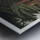 The Maggot–Bearing Stapelia Impression metal