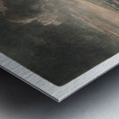 The Snowdrops Metal print