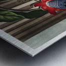 The Winged Passion-Flower Metal print